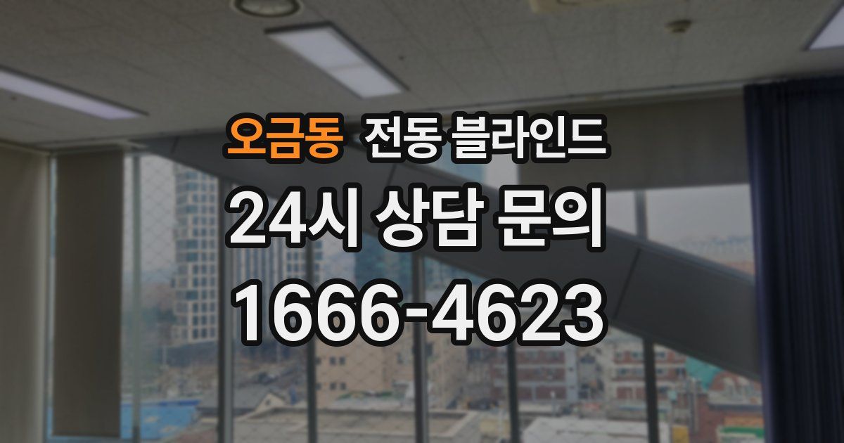 오금동 전동 블라인드