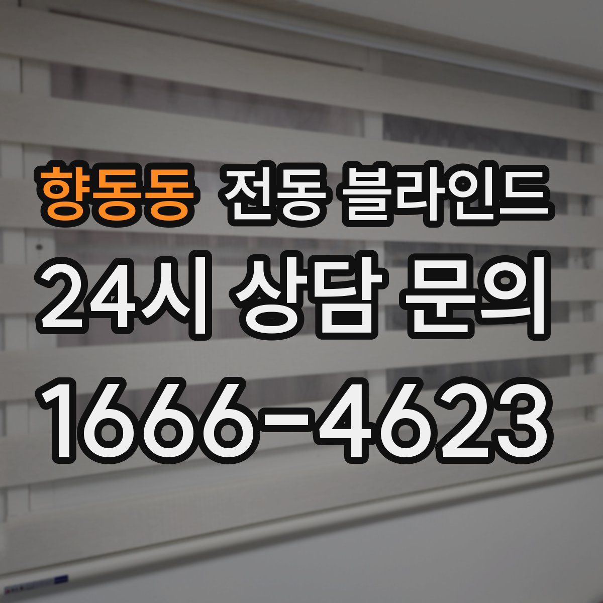 향동동 전동 블라인드