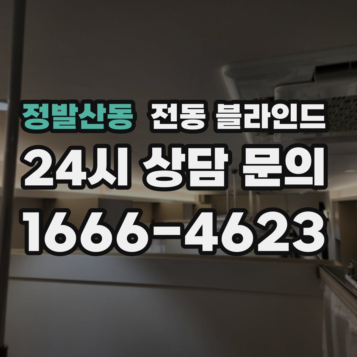 정발산동 전동 블라인드