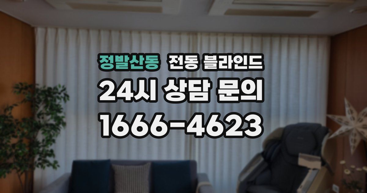 정발산동 전동 블라인드