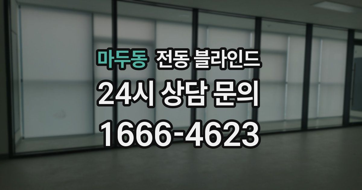 마두동 전동 블라인드