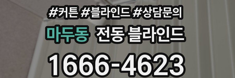 마두동 전동 블라인드
