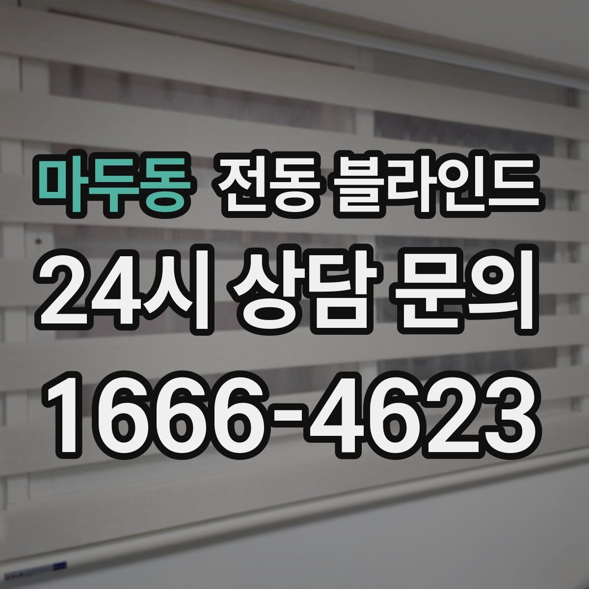 마두동 전동 블라인드