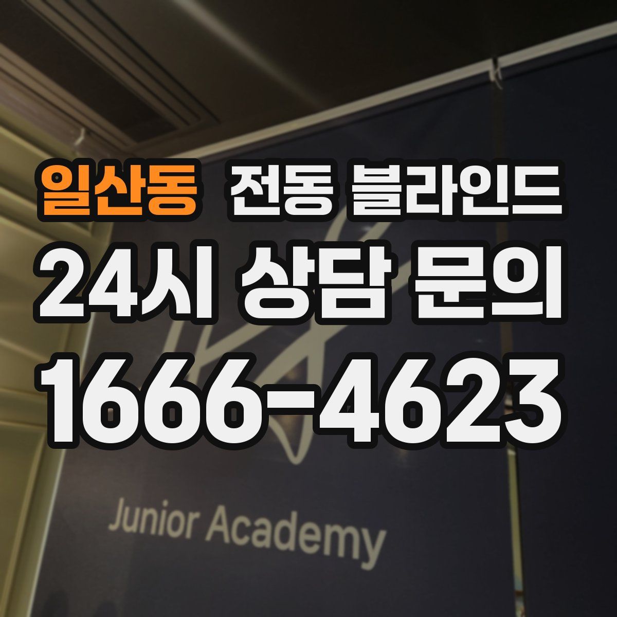 일산동 전동 블라인드