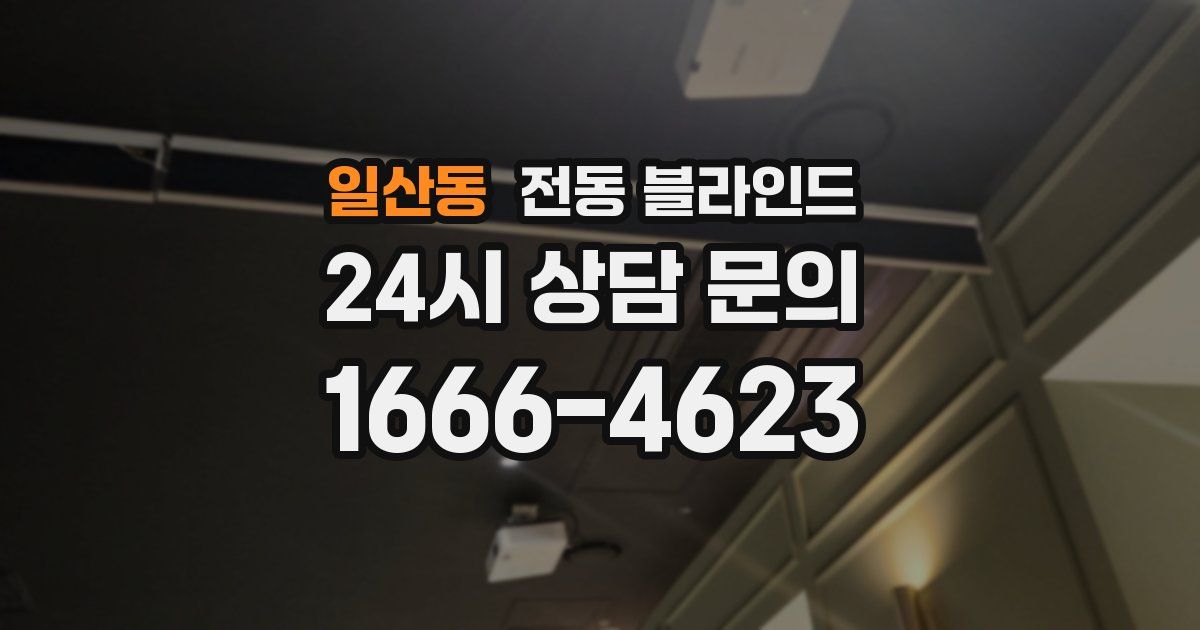 일산동 전동 블라인드