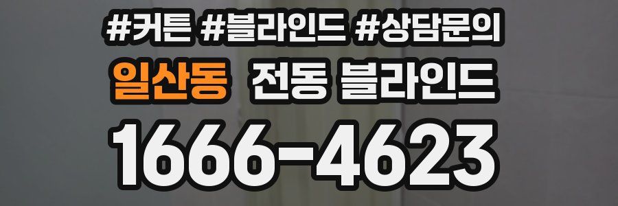 일산동 전동 블라인드