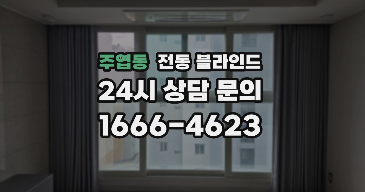 주엽동 전동 블라인드