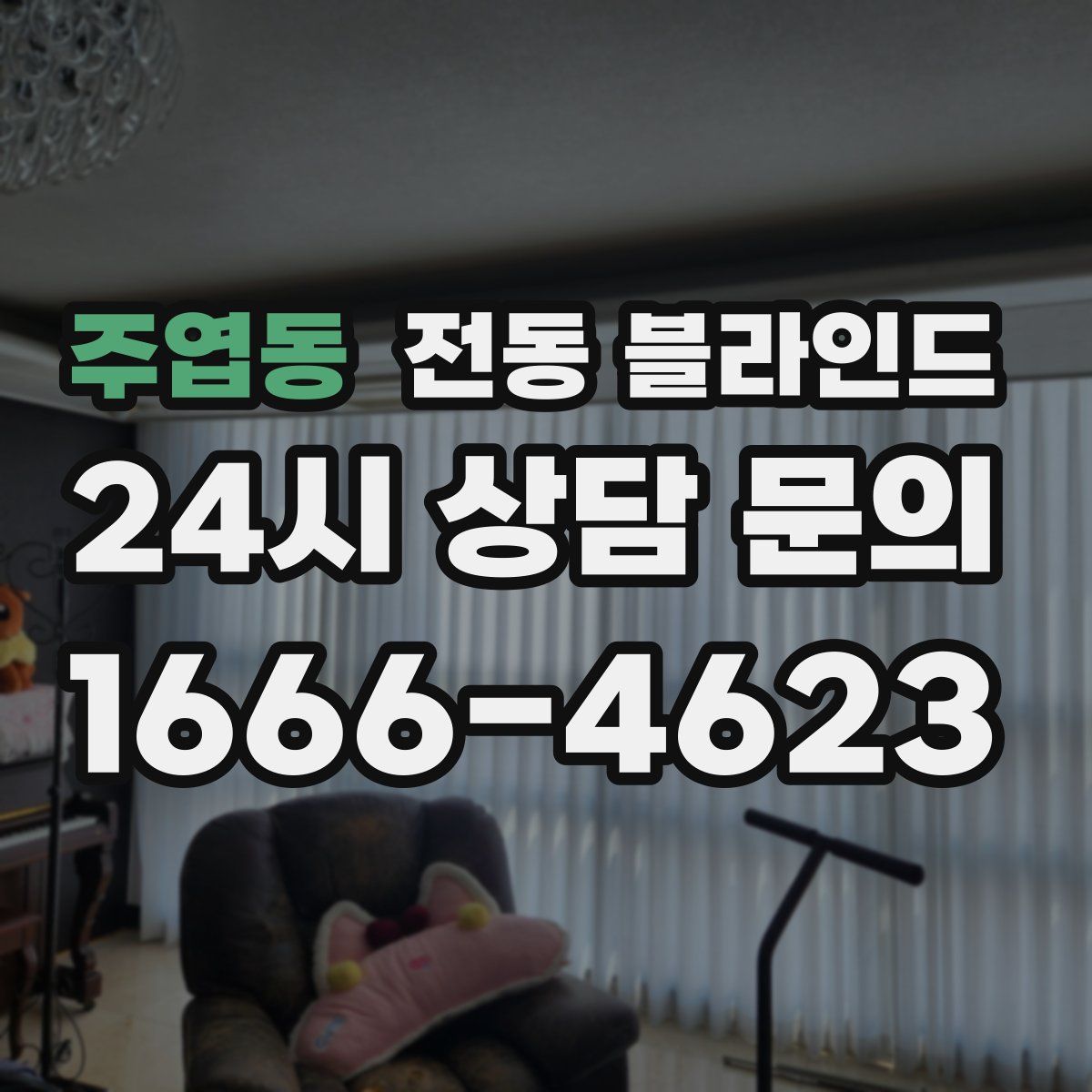 주엽동 전동 블라인드