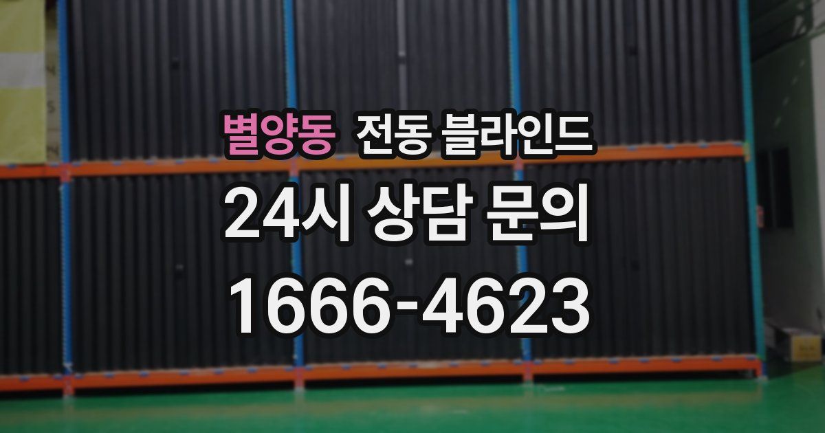 별양동 전동 블라인드