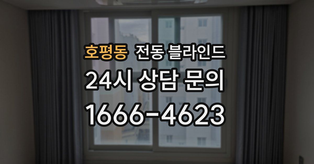 호평동 전동 블라인드