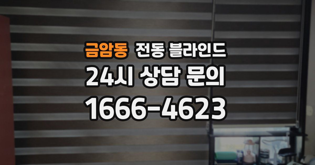 금암동 전동 블라인드
