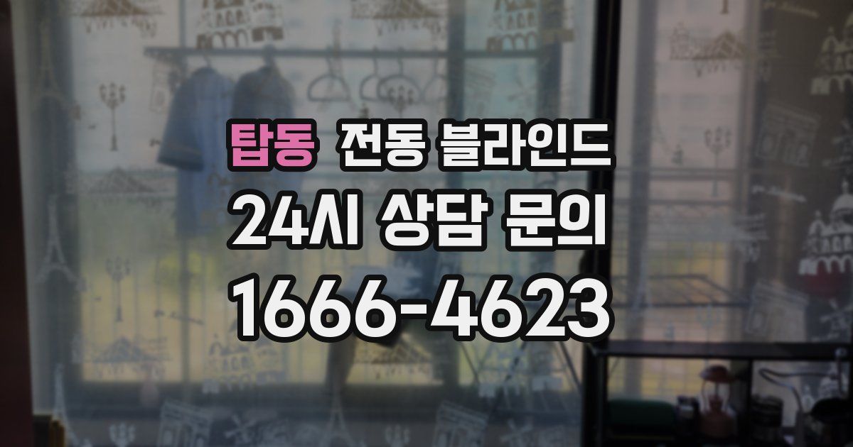 탑동 전동 블라인드