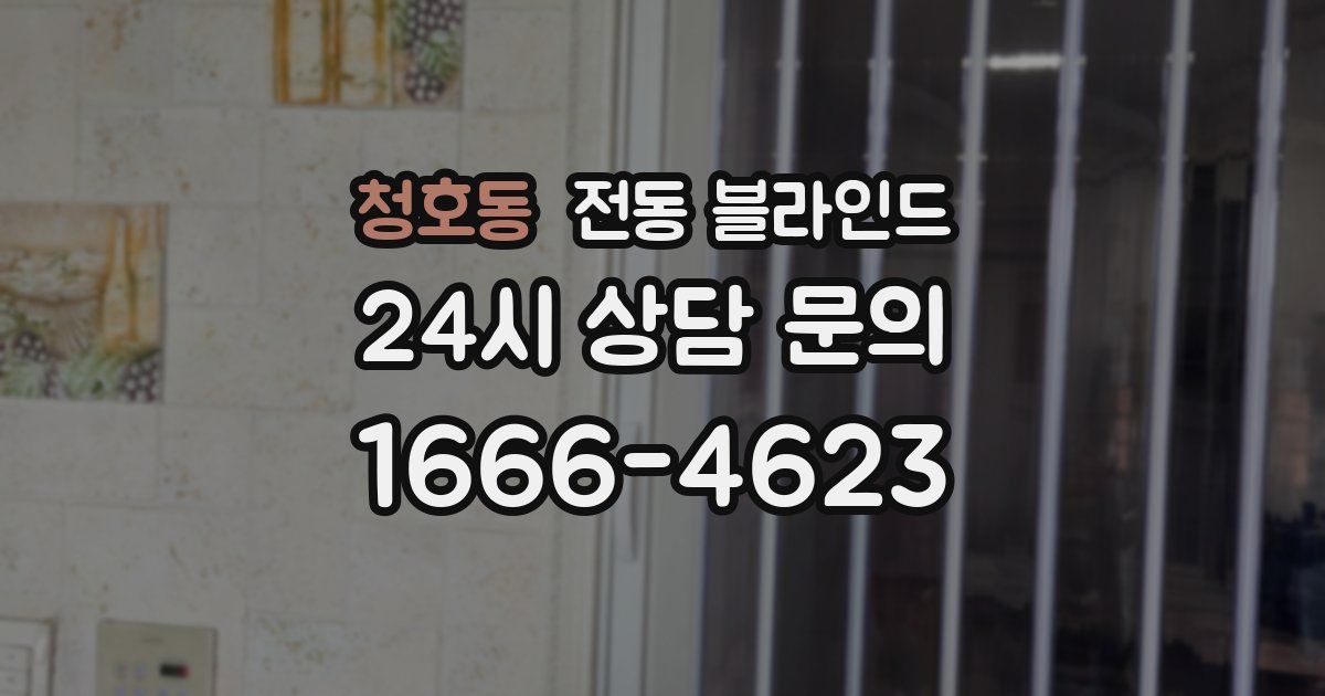 청호동 전동 블라인드