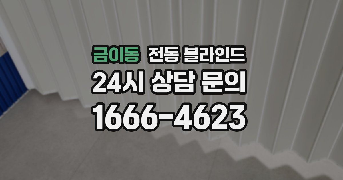 금이동 전동 블라인드