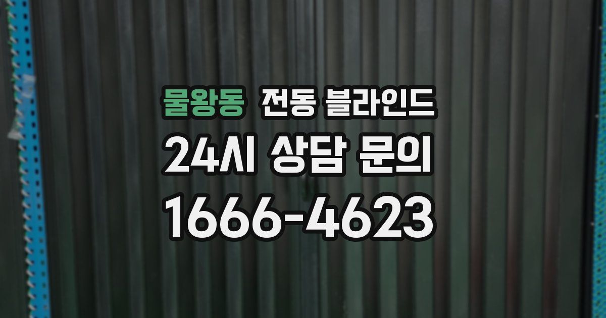 물왕동 전동 블라인드