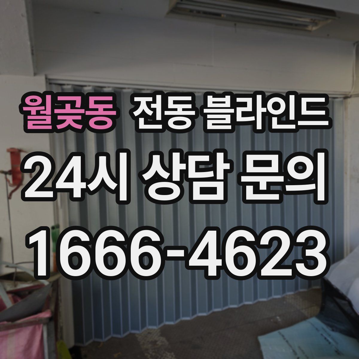 월곶동 전동 블라인드
