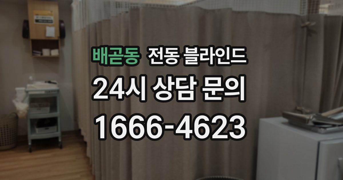 배곧동 전동 블라인드