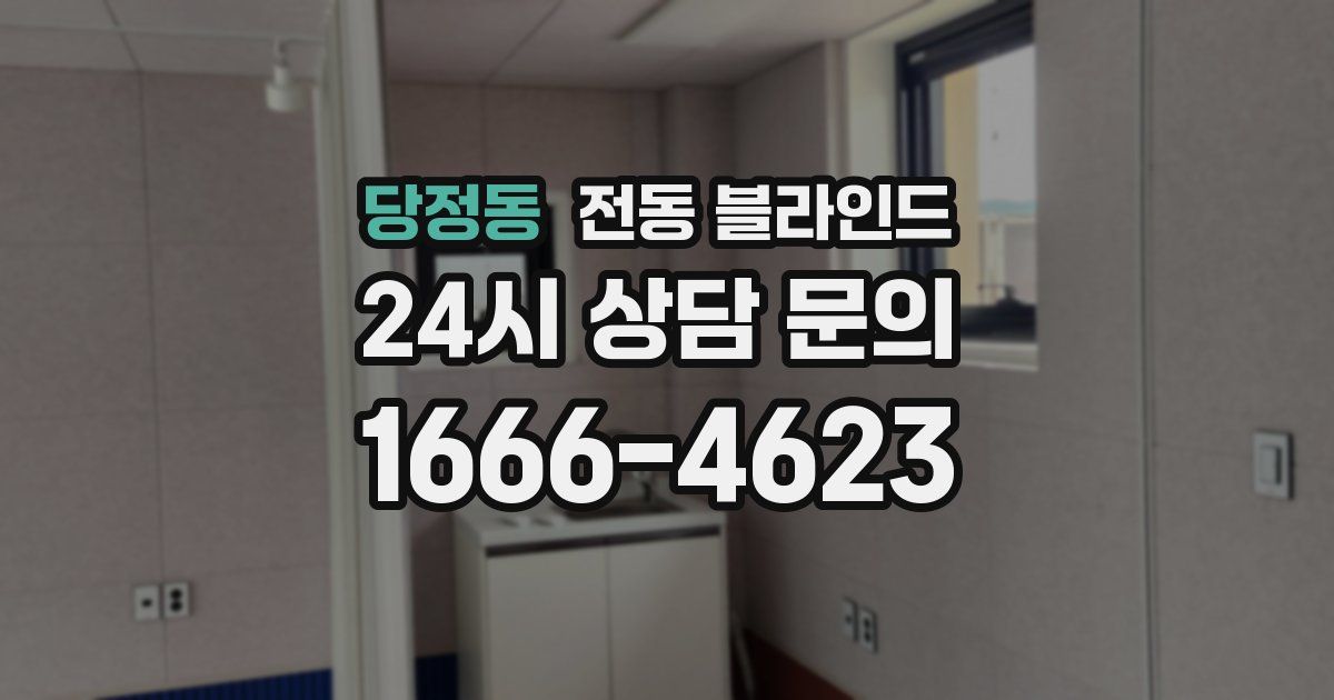 당정동 전동 블라인드