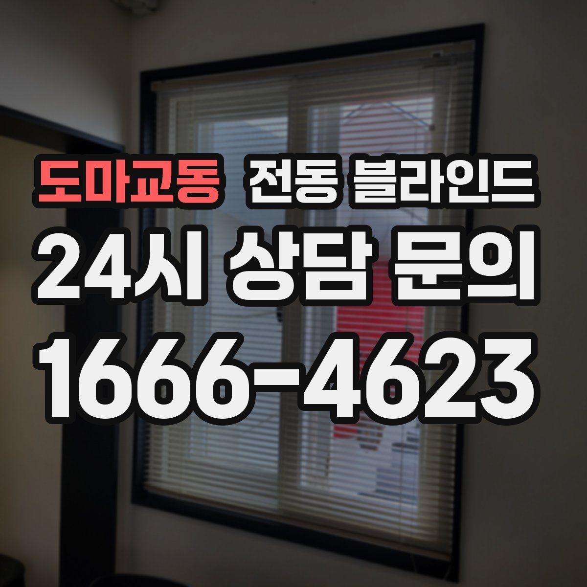 도마교동 전동 블라인드