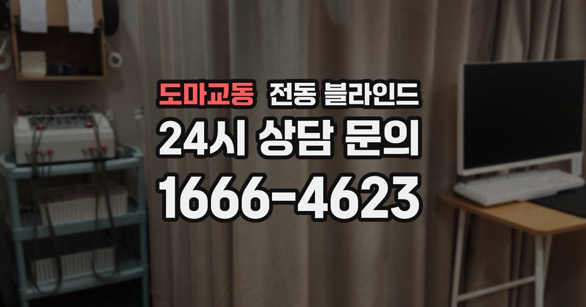 도마교동 전동 블라인드