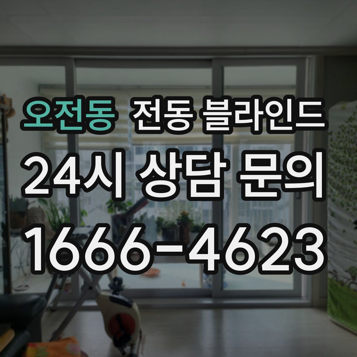 오전동 전동 블라인드