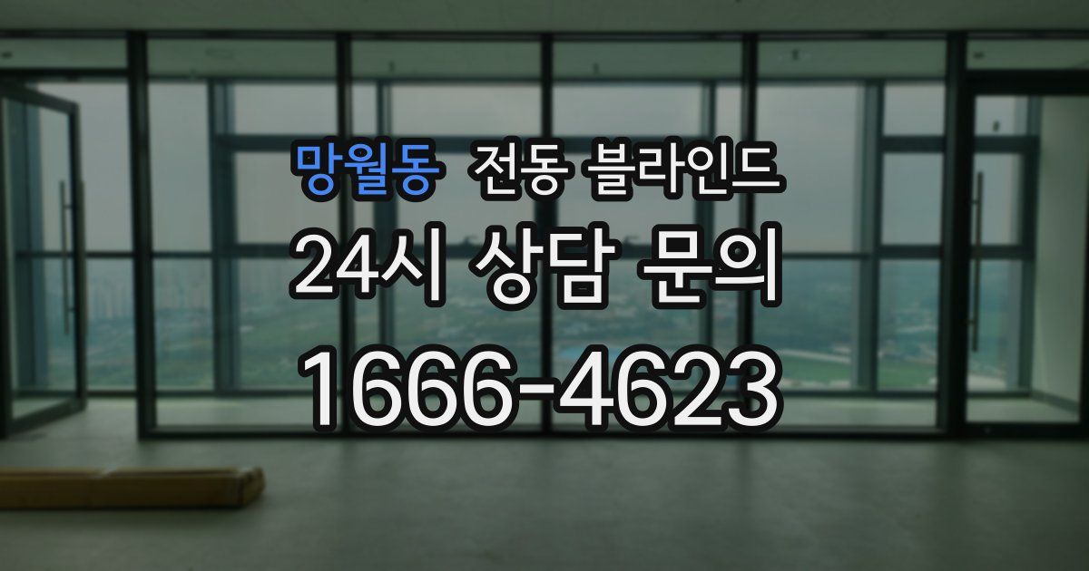망월동 전동 블라인드
