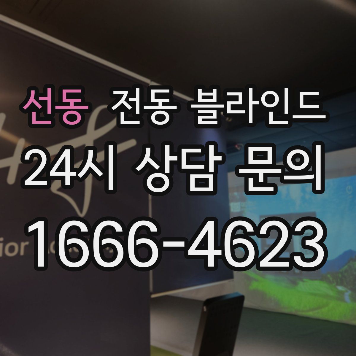 선동 전동 블라인드