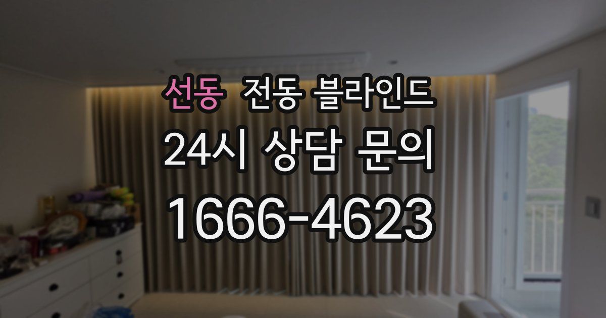 선동 전동 블라인드