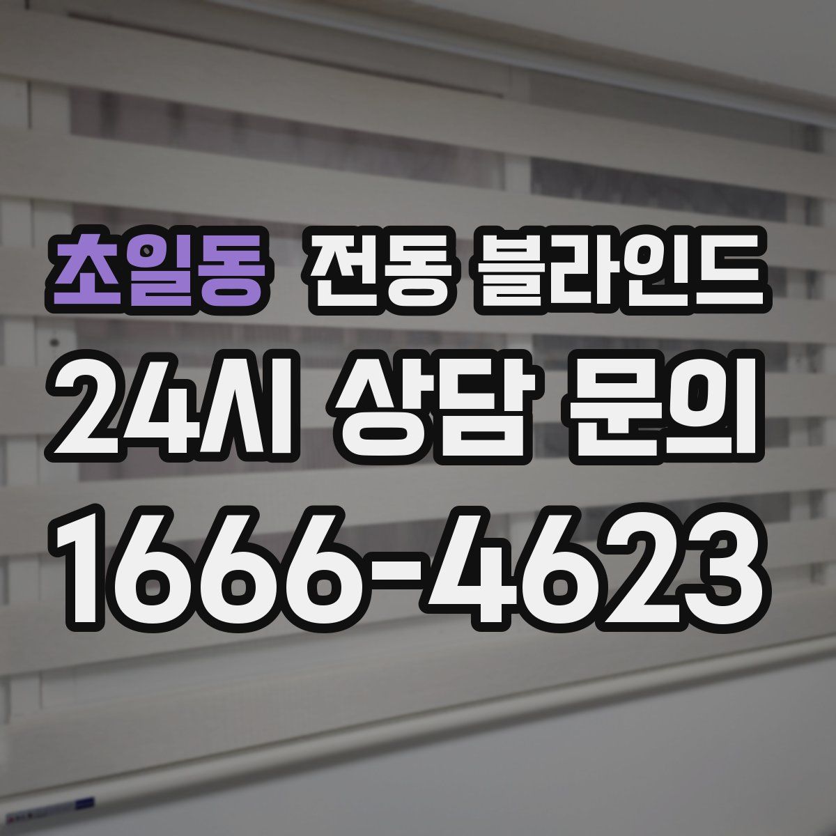 초일동 전동 블라인드