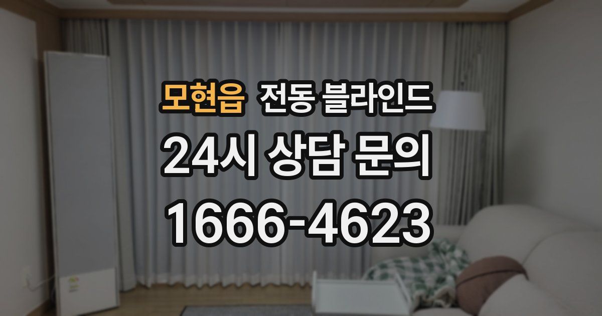 모현읍 전동 블라인드