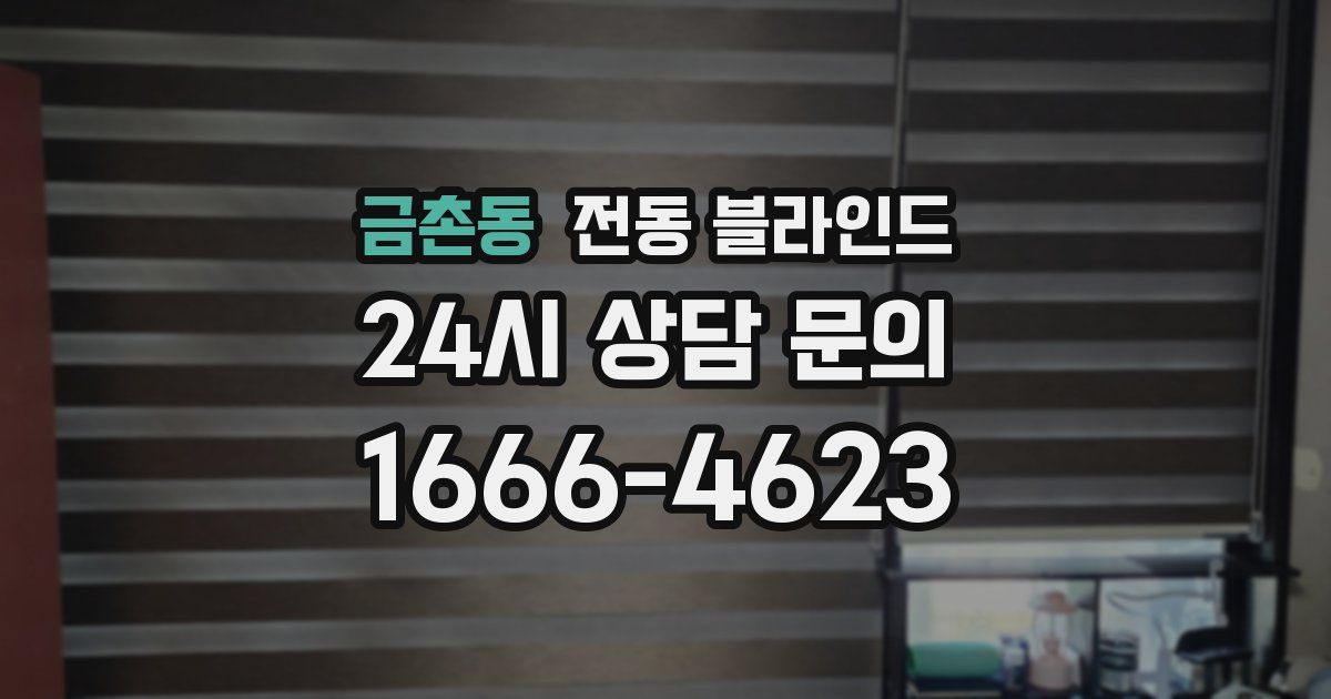 금촌동 전동 블라인드