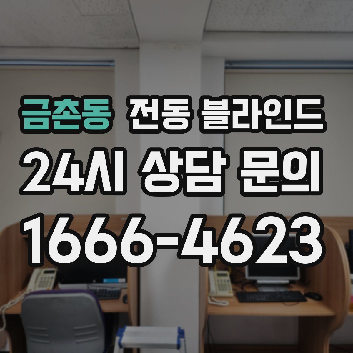 금촌동 전동 블라인드