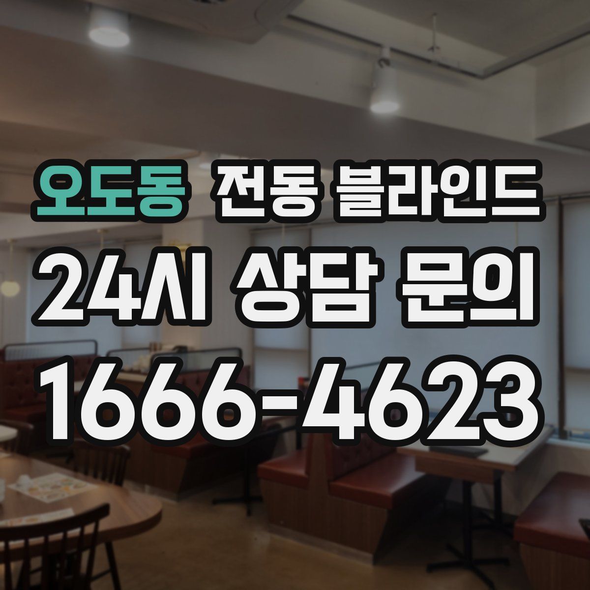 오도동 전동 블라인드