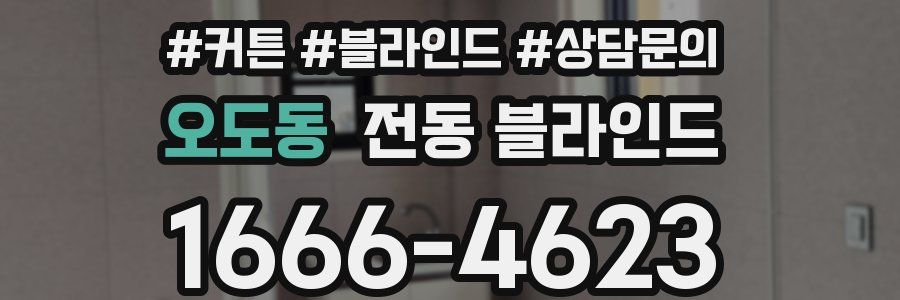 오도동 전동 블라인드