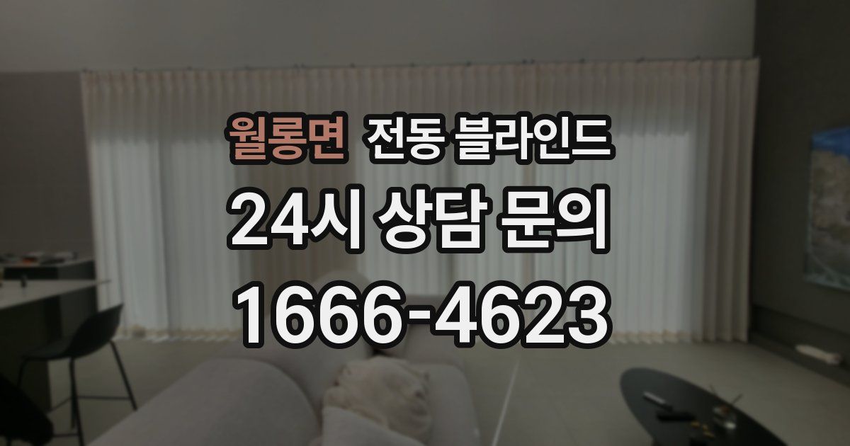월롱면 전동 블라인드