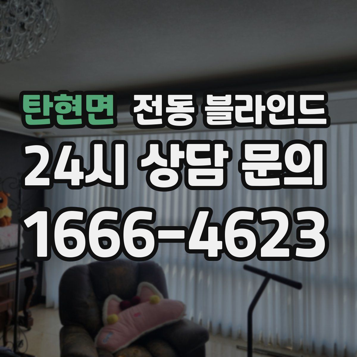 탄현면 전동 블라인드