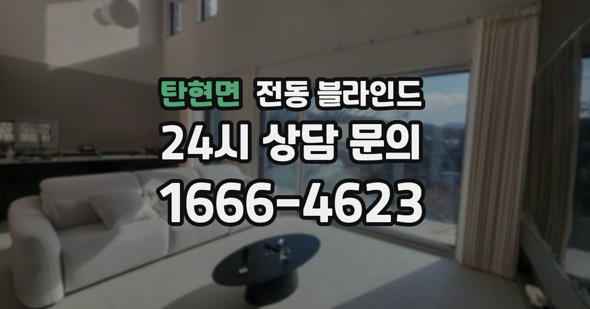 탄현면 전동 블라인드