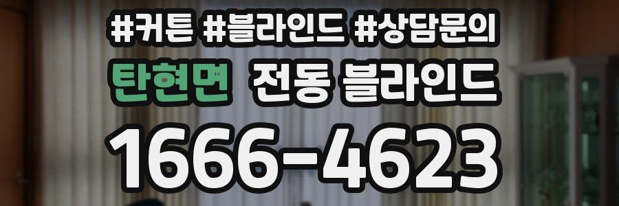 탄현면 전동 블라인드