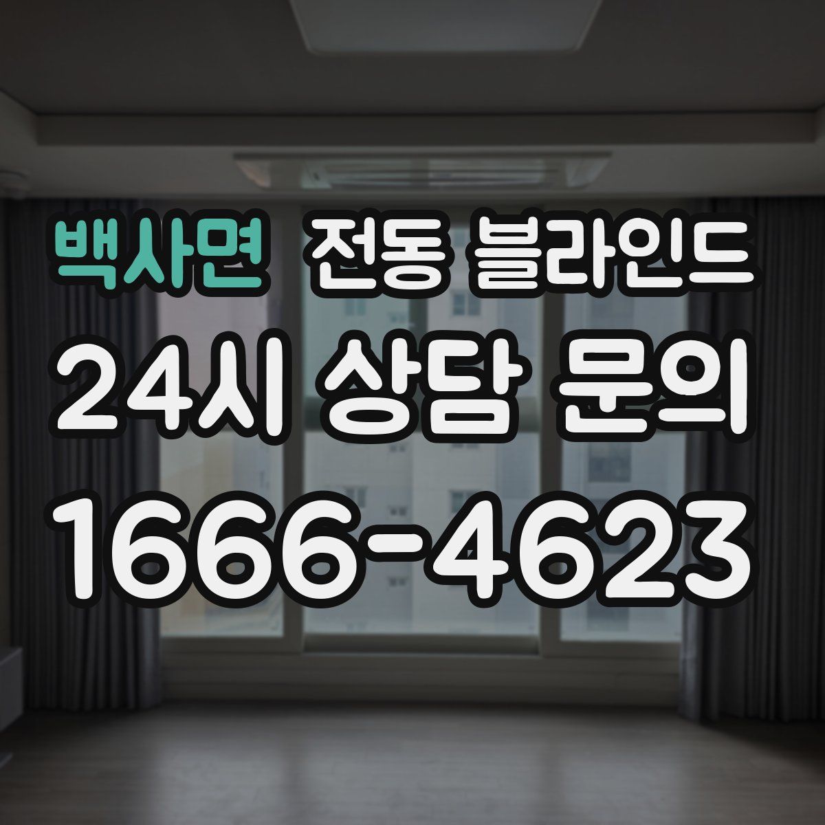 백사면 전동 블라인드