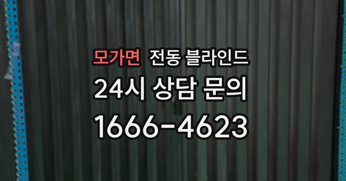 모가면 전동 블라인드