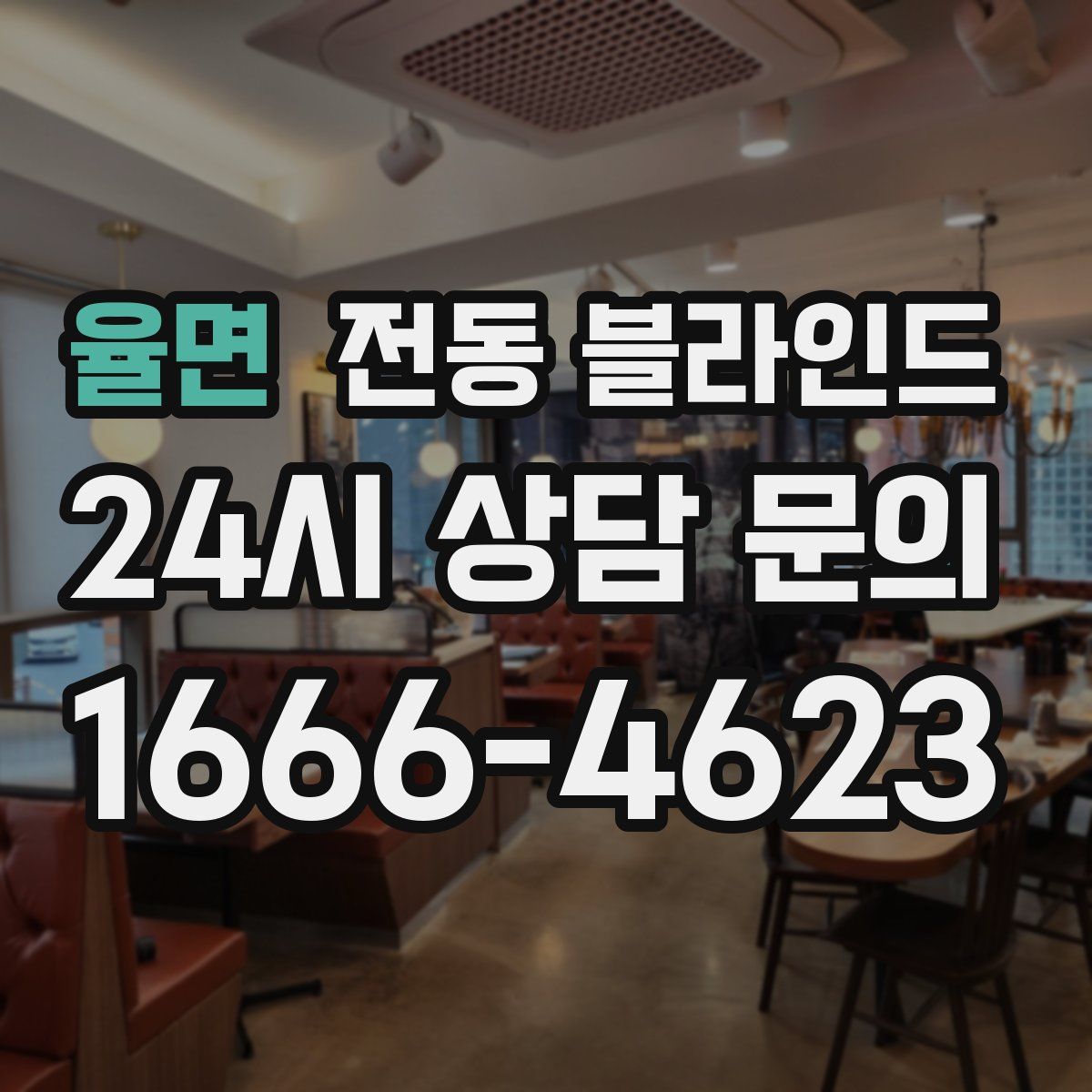 율면 전동 블라인드