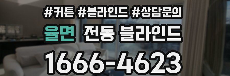 율면 전동 블라인드