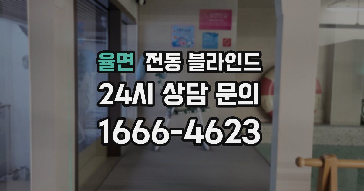율면 전동 블라인드