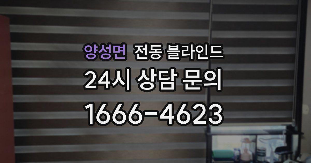 양성면 전동 블라인드