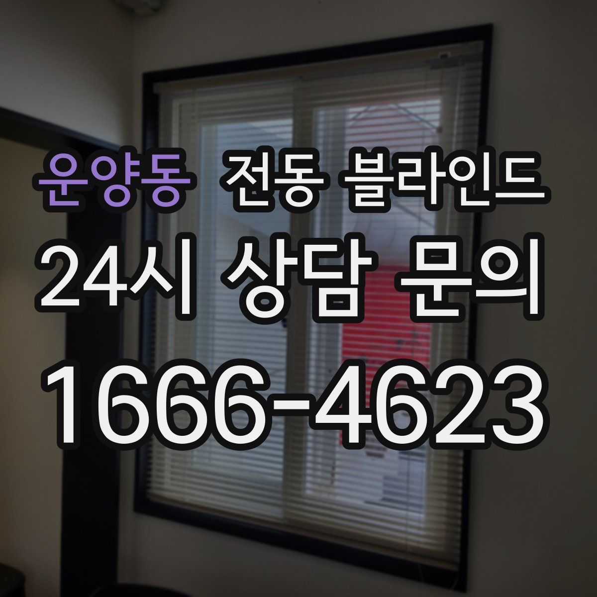 운양동 전동 블라인드