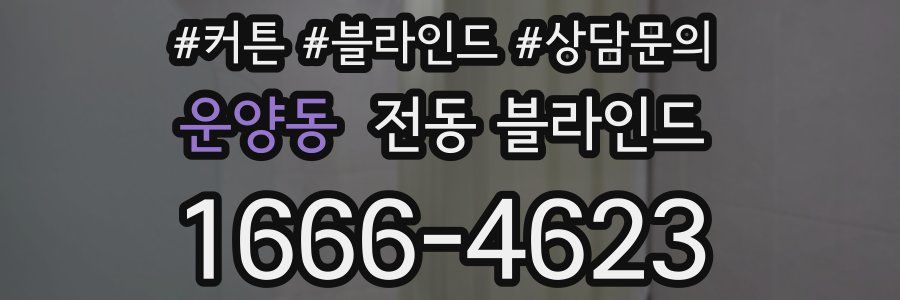 운양동 전동 블라인드