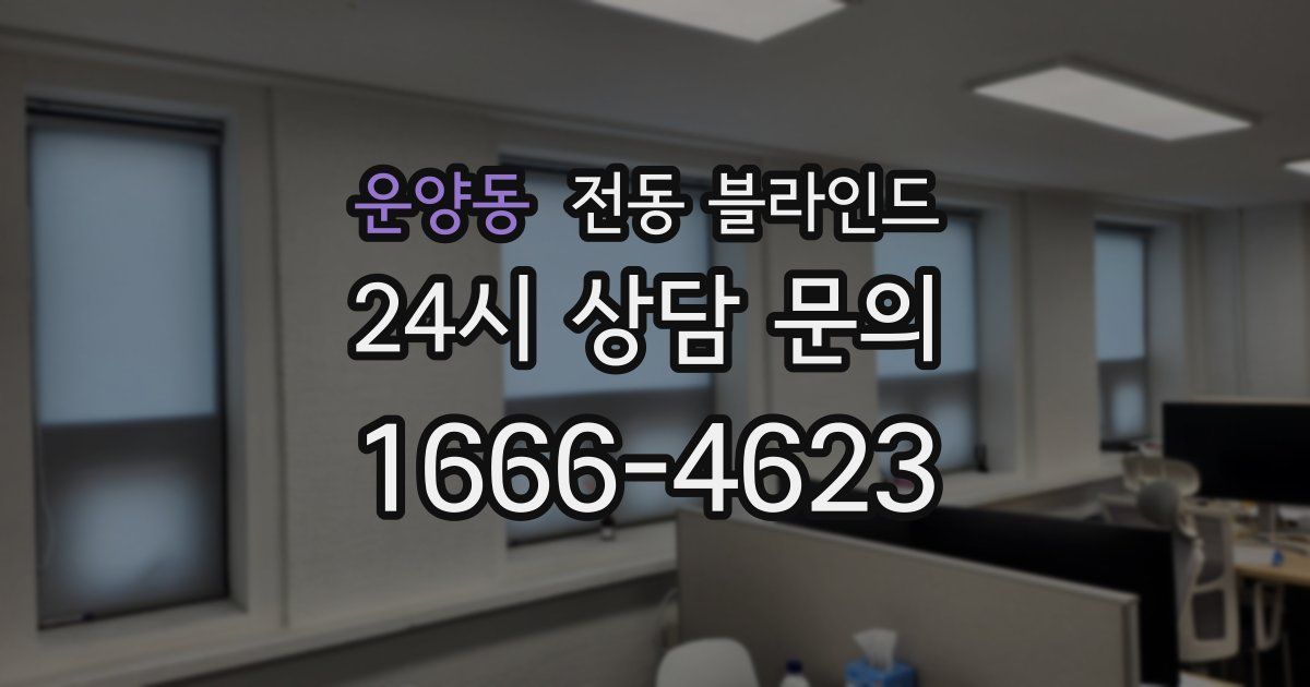 운양동 전동 블라인드