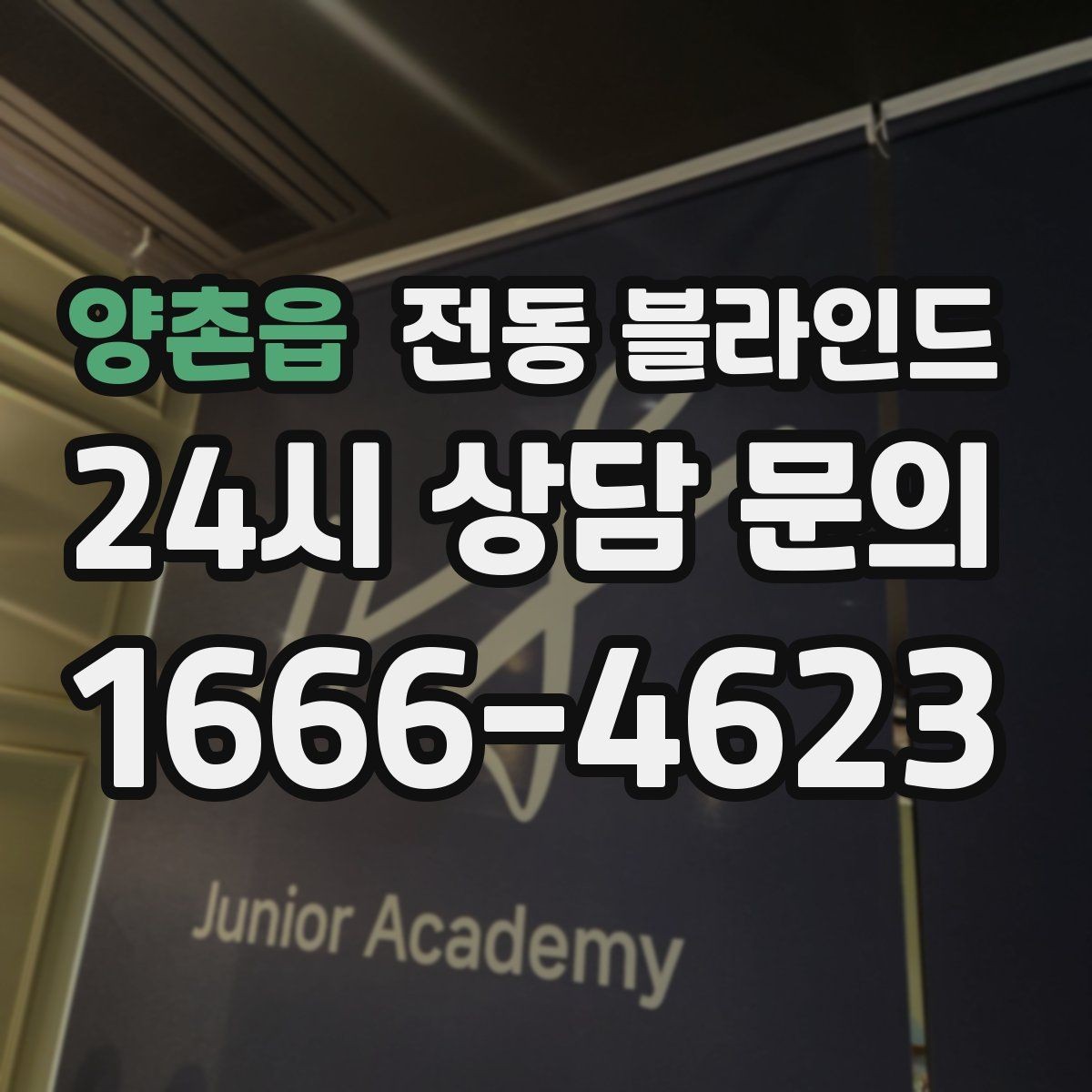 양촌읍 전동 블라인드 오랜 사용을 위한 점검 주기