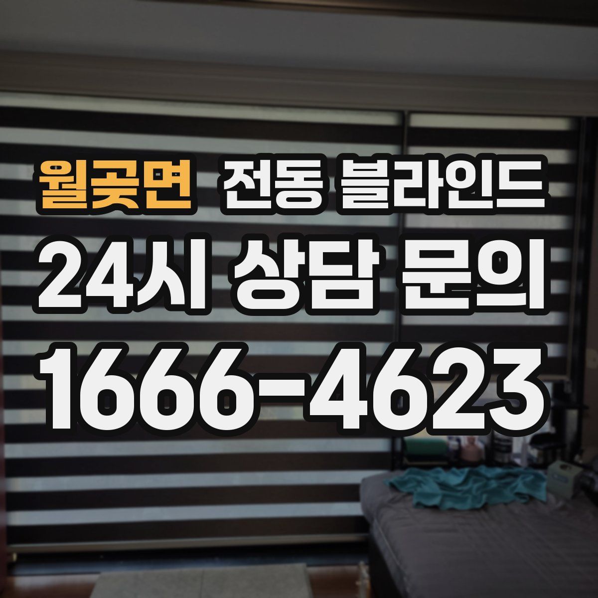월곶면 전동 블라인드