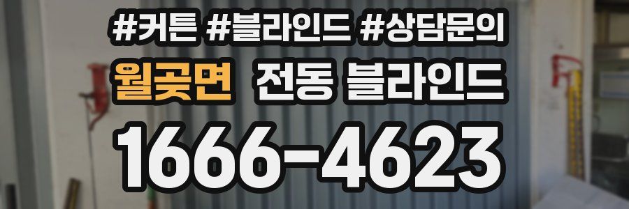 월곶면 전동 블라인드